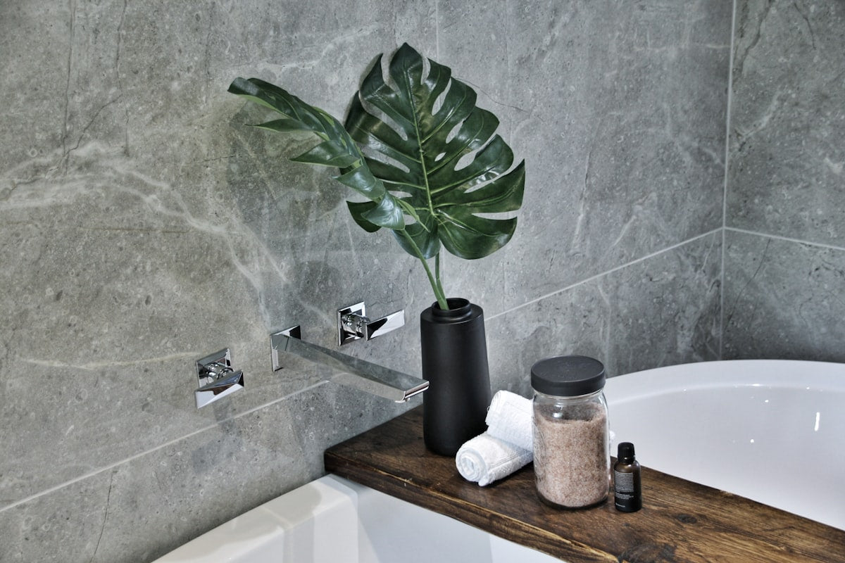 Green plant on a wooden table, decorative styling