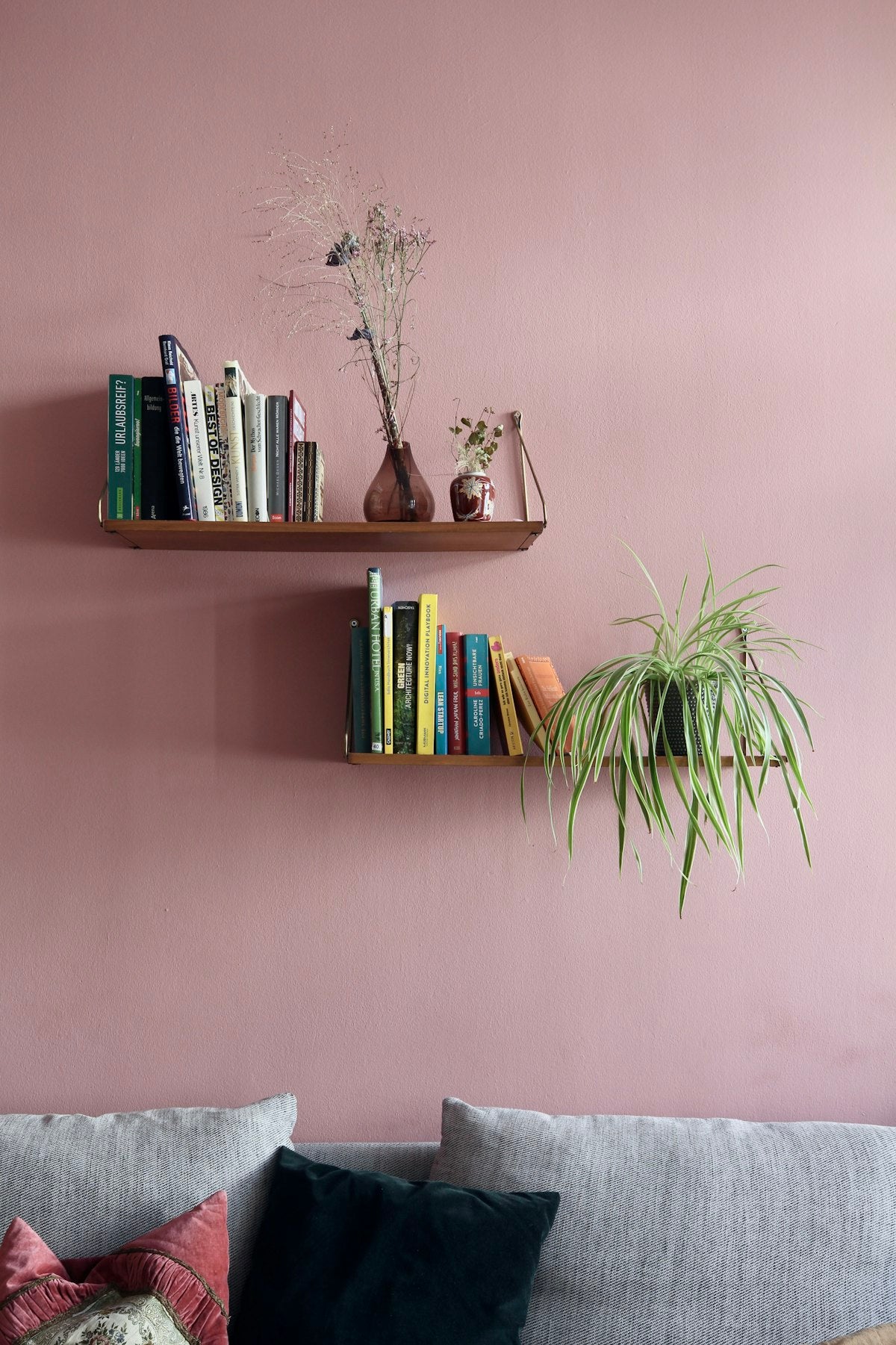Green plant on wooden shelf