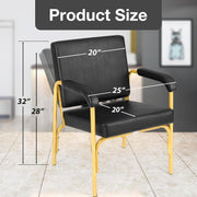 Reclining Shampoo Chair (Gold)