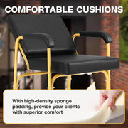 Reclining Shampoo Chair (Gold)